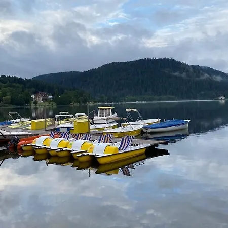 Cote * Gerardmer