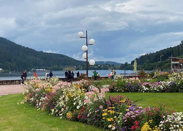 Apartmán Cote Gérardmer